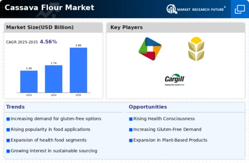 Cassava Flour Market Infographic
