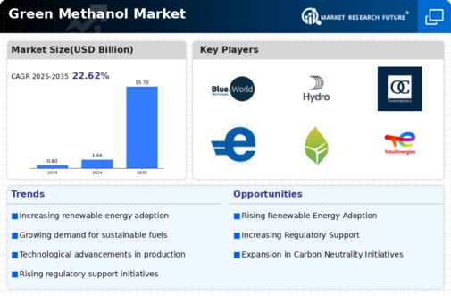 Green Methanol Market Infographic