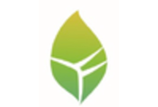 Green Methanol Market key player