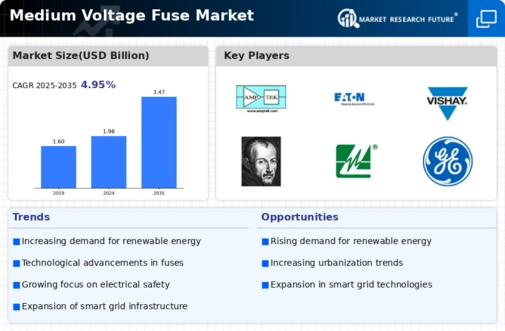 Medium Voltage Fuse Market Infographic