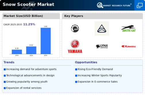 Snow Scooter Market Infographic