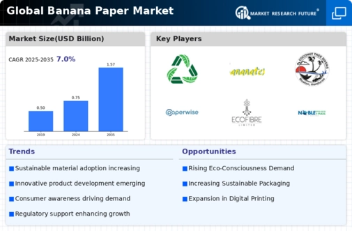 Banana Paper Market
 Infographic