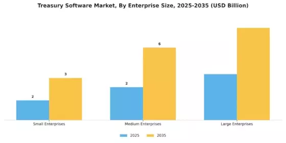 Treasury Software Market Segment Image 2