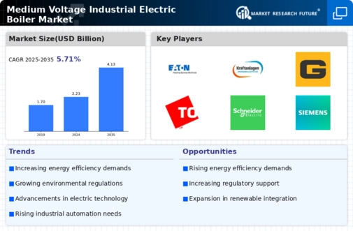 Medium Voltage Industrial Electric Boiler Market Infographic