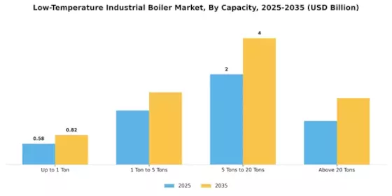 Low Temperature Industrial Boiler Market Segment Image 3