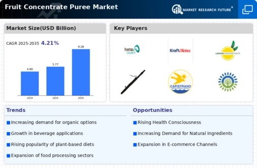 Fruit Concentrate Puree Market Infographic