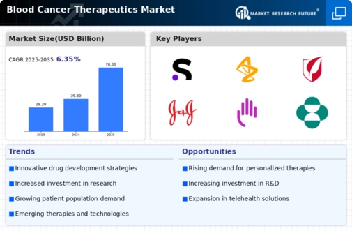 Blood Cancer Therapeutics Market Infographic