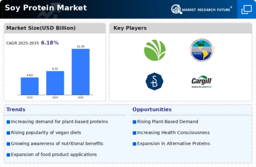 Soy Protein Market Infographic