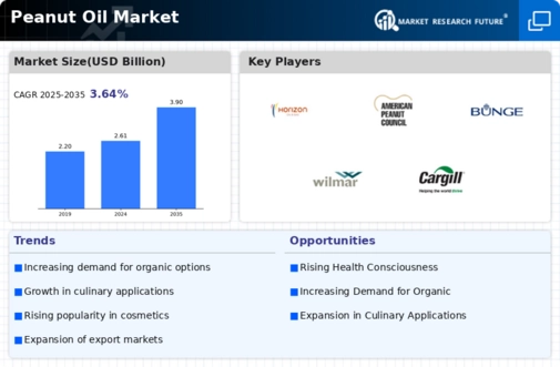 Peanut Oil Market Infographic