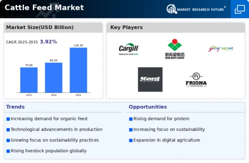 Cattle Feed Market Infographic