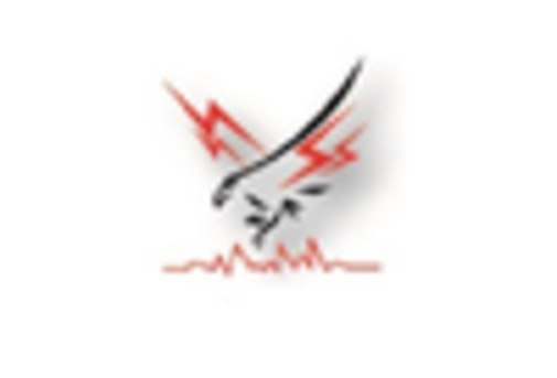 Expanded Clay Market key player