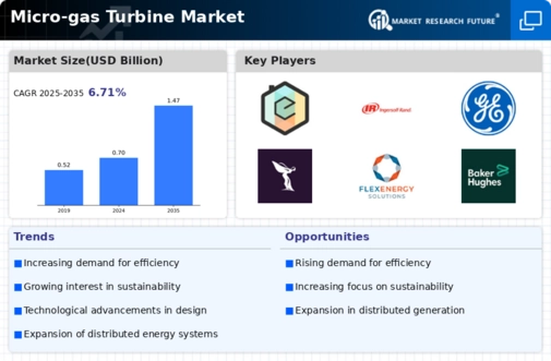 Micro gas Turbine Market Infographic