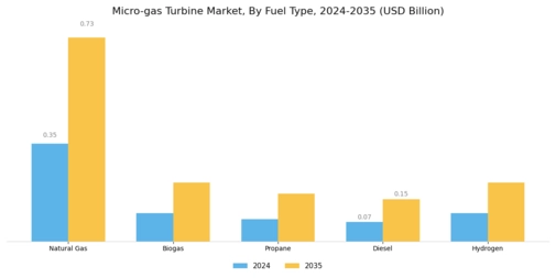 Micro gas Turbine Market Segment Image 2