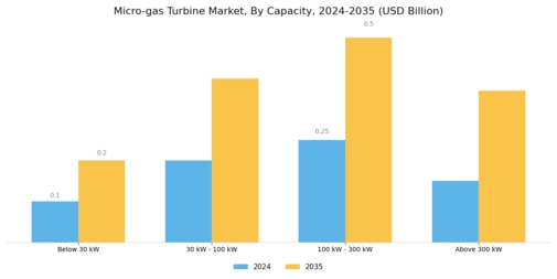 Micro gas Turbine Market Segment Image 3