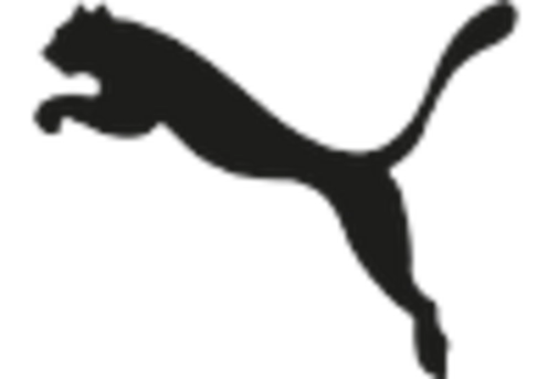 Cool Fibers Market
 key player