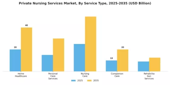 Private Nursing Services Market Segment Image 0