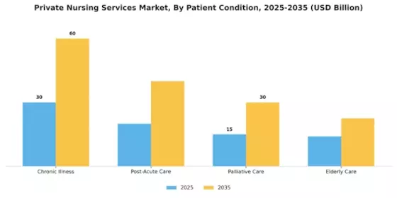 Private Nursing Services Market Segment Image 1