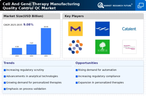 Cell Gene Therapy Manufacturing Quality Control Market Infographic