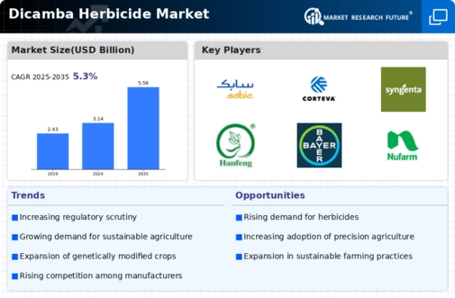 Dicamba Herbicide Market Infographic