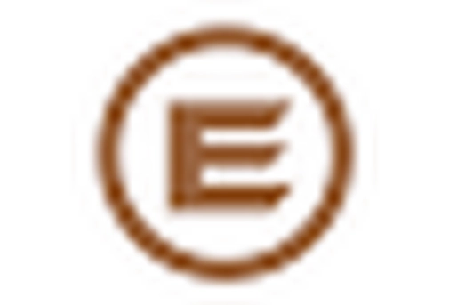 Medium Power Electric Vehicle Busbar Market key player