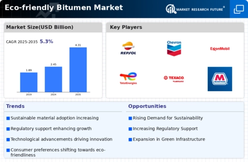 Eco-friendly Bitumen Market Infographic