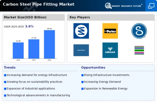 Carbon Steel Pipe Fitting Market Infographic