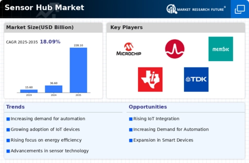 Sensor Hub Market Infographic