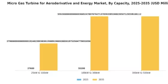 Micro Gas Turbine for Aeroderivative Energy Market Segment Image 0