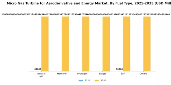 Micro Gas Turbine for Aeroderivative Energy Market Segment Image 3