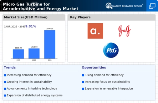 Micro Gas Turbine for Aeroderivative Energy Market Infographic