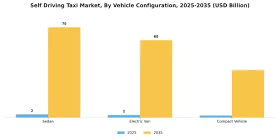 Self Driving Taxi Market Segment Image 1