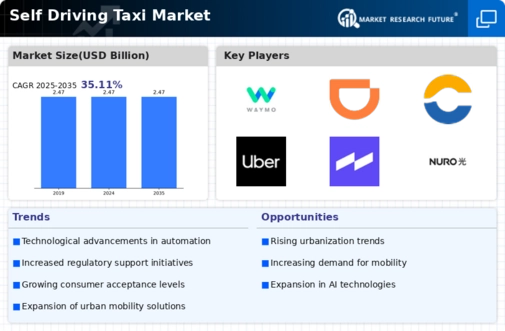 Self Driving Taxi Market Infographic