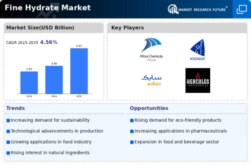 Fine Hydrate Market Infographic