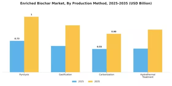 Enriched Biochar Market Segment Image 0