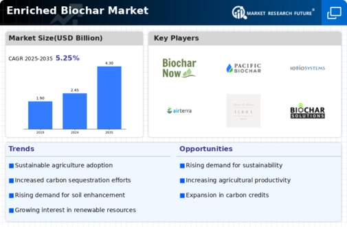 Enriched Biochar Market Infographic