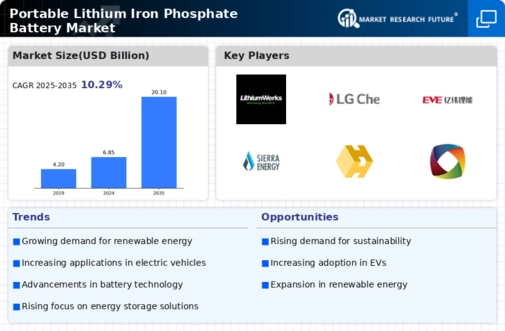 Portable Lithium Iron Phosphate Battery Market Infographic