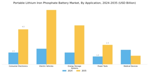 Portable Lithium Iron Phosphate Battery Market Segment Image 0