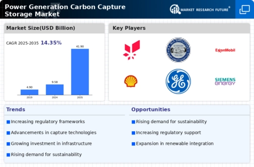 Power Generation Carbon Capture and Storage Market Infographic