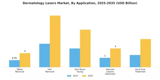 Dermatology Lasers Market Segment Image 1