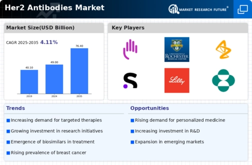 Her2 Antibodies Market
 Infographic