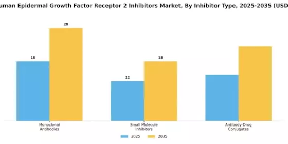 HER2 Human Epidermal Growth Factor Receptor 2 Inhibitors Market Segment Image 0
