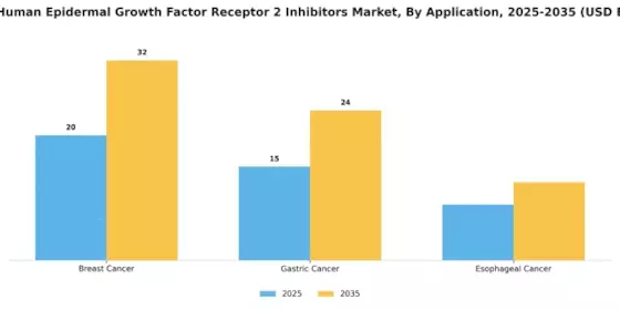 HER2 Human Epidermal Growth Factor Receptor 2 Inhibitors Market Segment Image 2