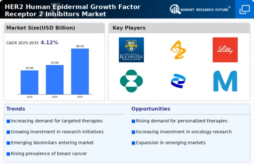 HER2 Human Epidermal Growth Factor Receptor 2 Inhibitors Market Infographic
