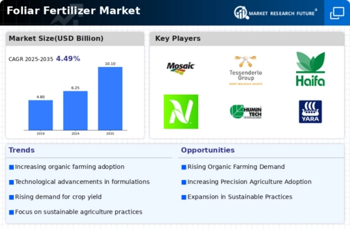 Foliar Fertilizer Market Infographic