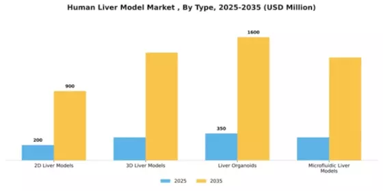 Human Liver Model Market  Segment Image 3