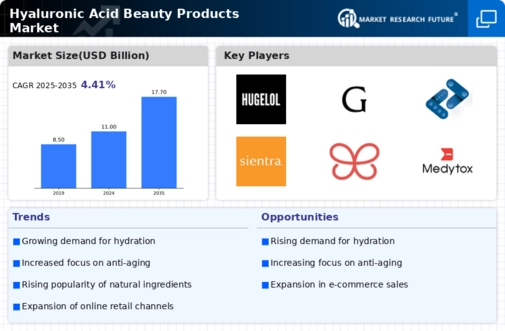 Hyaluronic Acid Beauty Products Market Infographic