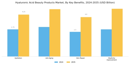 Hyaluronic Acid Beauty Products Market Segment Image 4