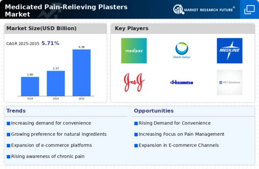 Medicated Pain Relieving Plasters Market Infographic