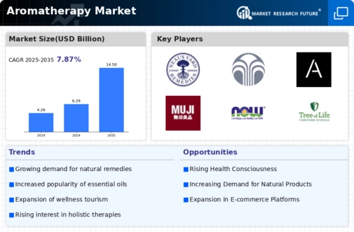Aromatherapy Market Infographic