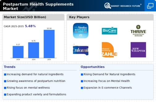 Postpartum Health Supplements Market Infographic